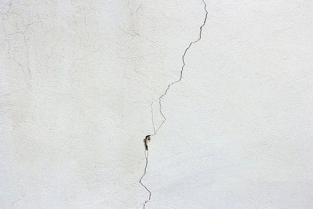 A crack in a wall.